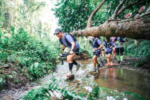 BIB: 
                            <button type="button" onclick="openModal(25517310)" class="btn btn-primary btn-sm float-right btn-popup" data-toggle="modal" data-target=".modal-high-quality">
                        <i class="fas fa-shopping-cart"></i> Add to Cart
                    </button>
                                            <button type="button" onclick="isThisMe(25517310, true)" class="btn btn-success btn-sm float-right btn-popup btn-isme hidden" data-toggle="tooltip" data-placement="bottom" title="นี่คือรูปของคุณใช่ไหม คลิกที่นี่เพื่อเอาเข้าอัลบั้ม">
                        <i class="fas fa-plus"></i> Add to album
                    </button>
                    <button type="button" onclick="isThisMe(25517310, false)" class="btn btn-warning btn-sm float-right btn-popup btn-isnotme hidden">
                        <i class="fas fa-ban"></i> Remove from album
                    </button>